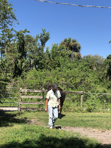 Horseback Riding Service «Horseback Trail Rides», reviews and photos, 1020 Camp Rd, Cocoa, FL 32927, USA