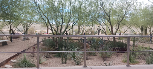 Amusement Park «Castles ~n~ Coasters», reviews and photos, 9445 N Metro Pkwy E, Phoenix, AZ 85051, USA