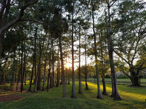 Golf Course «Wynmoor Golf Course», reviews and photos, 1310 Avenue of the Stars, Coconut Creek, FL 33066, USA