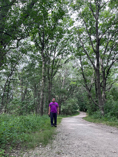 Nature Preserve «Bullfrog Lake», reviews and photos, 9600 Wolf Rd, Willow Springs, IL 60480, USA