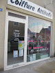 Salon de coiffure Coiffure Attitude 72160 La Chapelle-Saint-Rémy