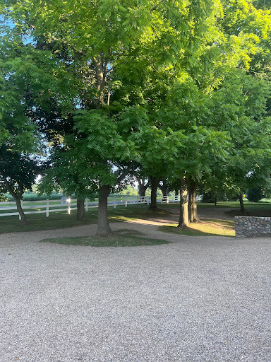 Wedding Venue «Hidden Vineyard Wedding Barn», reviews and photos, 6337 Snyder Rd, Berrien Springs, MI 49103, USA