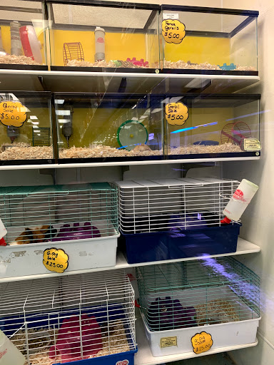 Pet Store «Petland Discounts - Derby», reviews and photos, 49 State Rte 727 # 12, Derby, CT 06418, USA