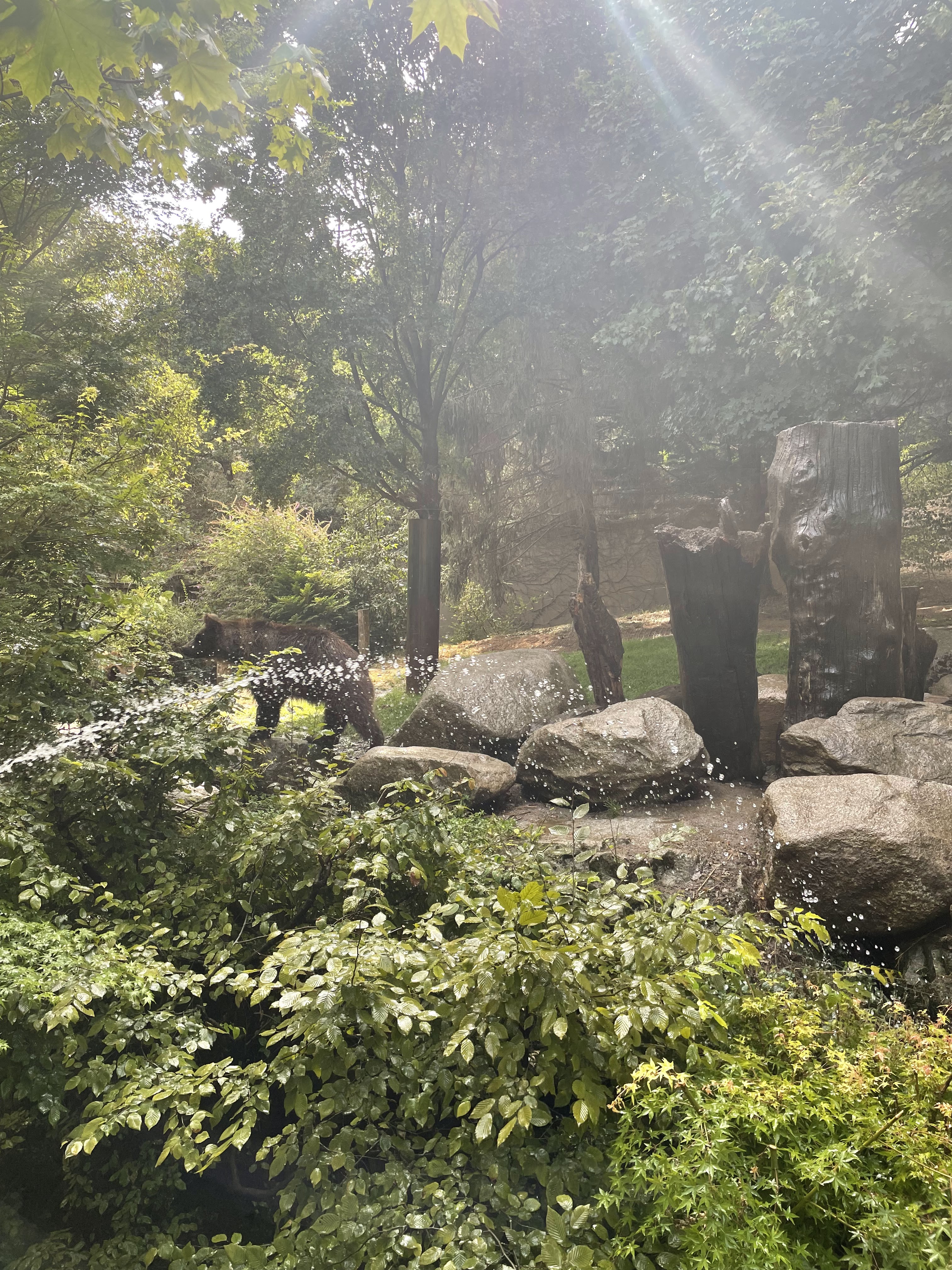 Photo n° 3 de l'avis de Gregory.G fait le 01/08/2022 à 10:31