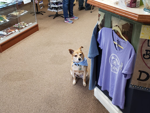 Pet Supply Store «Decadent Dogs», reviews and photos, 206 S River Ave, Holland, MI 49423, USA