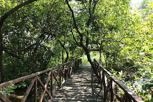 Ekowisata Mangrove Medokan Ayu image
