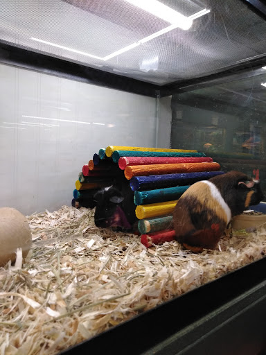 Pet Supply Store «Buckles Feed Depot & Pet Supply», reviews and photos, 220 S 4th St, Lafayette, IN 47901, USA