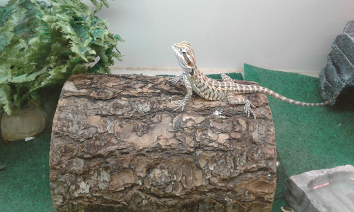 Pet Supply Store «Pet Supplies Plus», reviews and photos, 3060 N Lewis Ave, Waukegan, IL 60087, USA