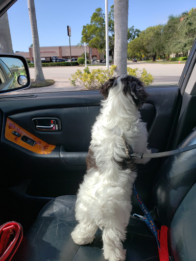 Pet Store «Wholesome Hound», reviews and photos, 198 Tamiami Trail N, Naples, FL 34102, USA