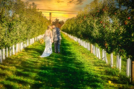 Wedding Venue «Thousand Acre Farm», reviews and photos, 260 Reedy Point Rd, Middletown, DE 19709, USA