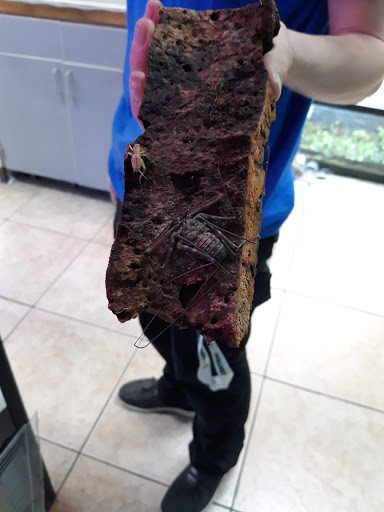 Pet Store «Animal Ark Pet Stores», reviews and photos, 33 Center St, Orem, UT 84057, USA