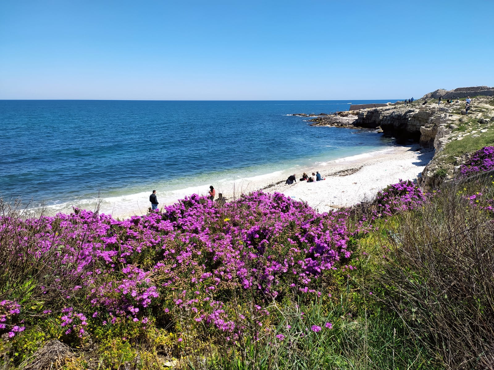 Foto de Ripalta beach con guijarros grises superficie