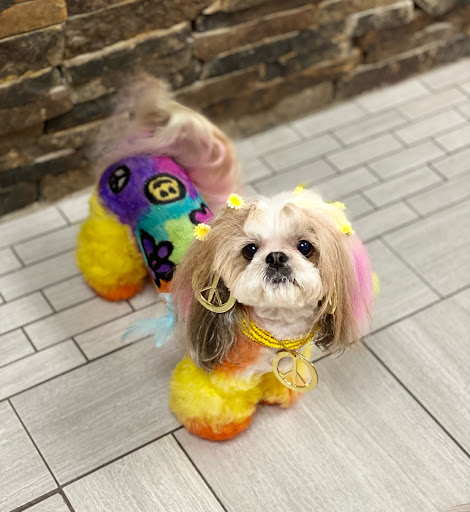 Pet Store «Canine Carousel», reviews and photos, 43135 Broadlands Center Plaza #129, Ashburn, VA 20148, USA