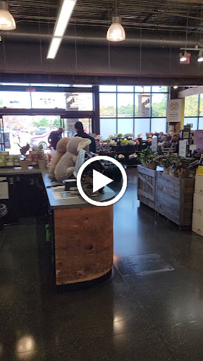 Grocery Store «Whole Foods Market», reviews and photos, 1797 Hydraulic Rd, Charlottesville, VA 22901, USA