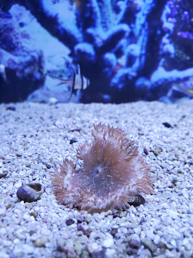 Pet Supply Store «Petco Animal Supplies», reviews and photos, 2140 E Blvd St, Kokomo, IN 46902, USA