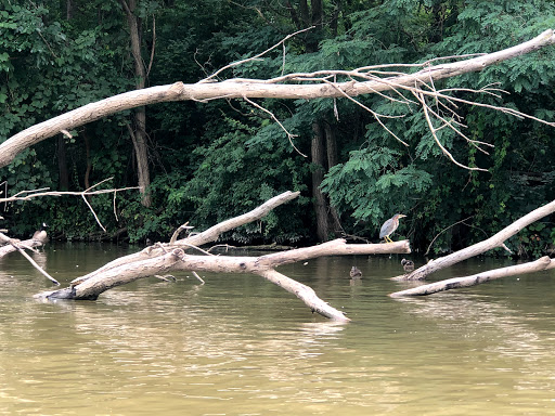 Canoe & Kayak Store «West River Paddle Sports», reviews and photos, 655 W River Rd, Vermilion, OH 44089, USA