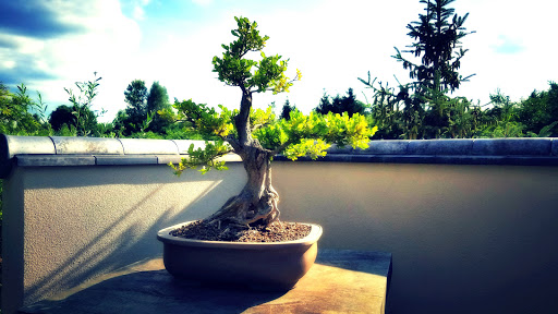 Botanical Garden «Frederik Meijer Gardens», reviews and photos, 1000 E Beltline Ave NE, Grand Rapids, MI 49525, USA