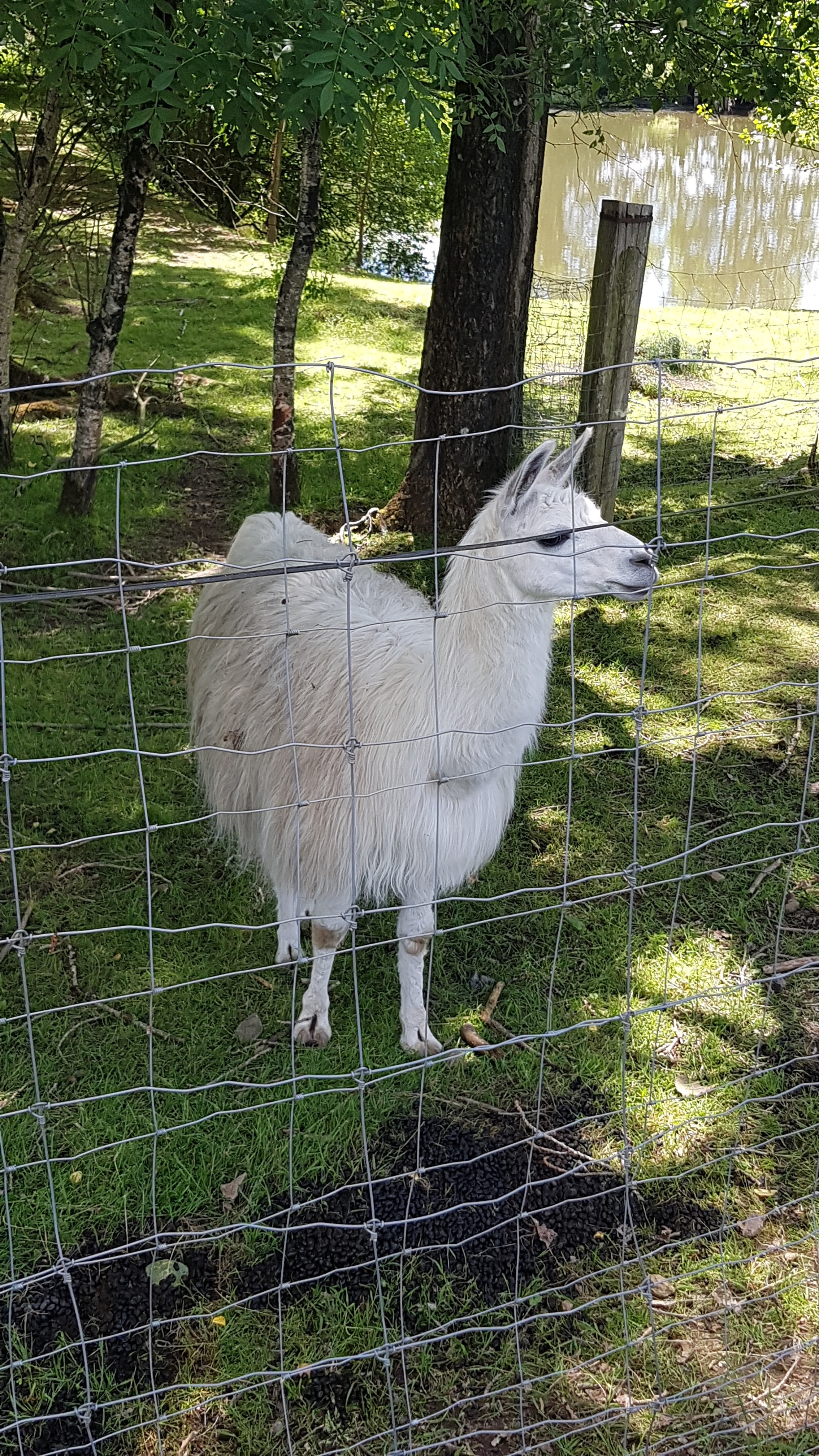 Photo n° 5 de l'avis de stephane.i fait le 05/06/2021 à 15:53