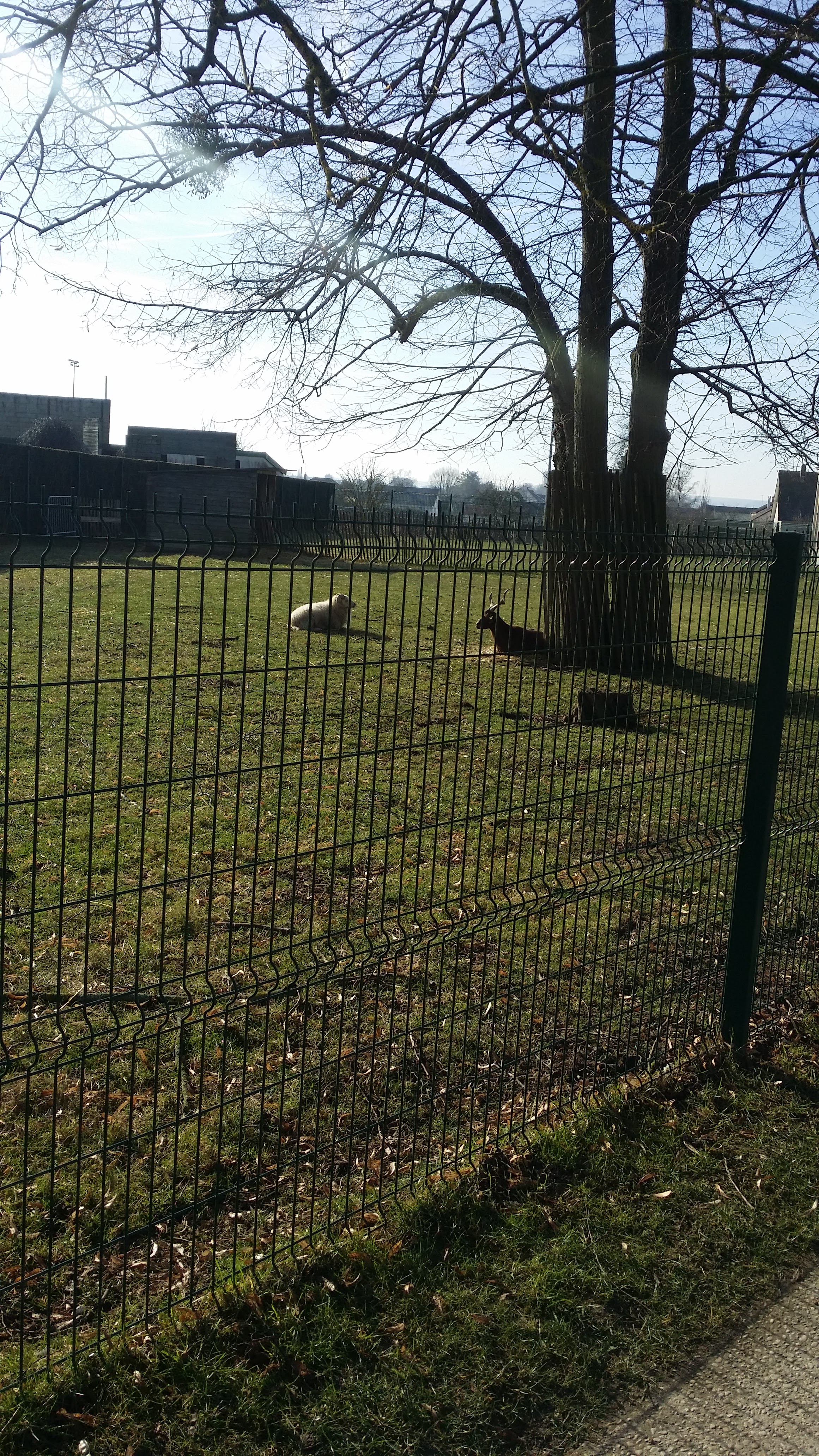 Photo n° 2 de l'avis de Victor.l fait le 15/02/2019 à 16:03