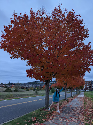 Shopping Mall «Grand Ridge Plaza», reviews and photos, 1451 Highlands Dr NE, Issaquah, WA 98029, USA