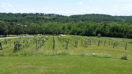 Winery «Tennessee Valley Winery», reviews and photos, 15606 Hotchkiss Valley Rd E, Loudon, TN 37774, USA