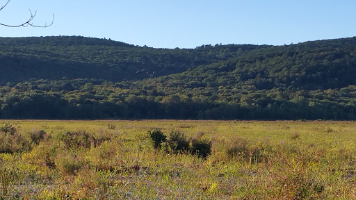 Winery «Bashakill Vineyards», reviews and photos, 1131 S Rd, Wurtsboro, NY 12790, USA