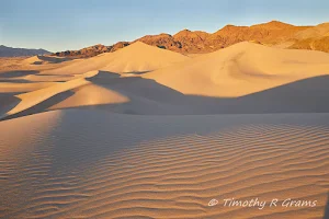 Ibex Dunes image