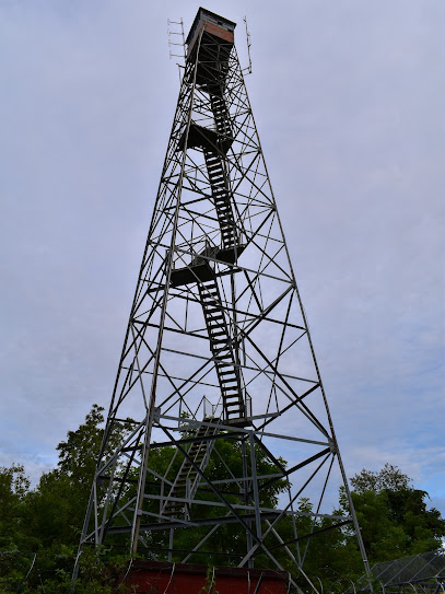 Fire Tower Loop MTB Trail