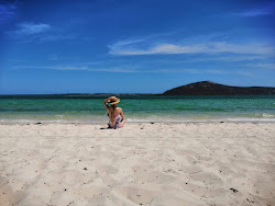 Shark Bay beach'in fotoğrafı uçurumlarla desteklenmiş