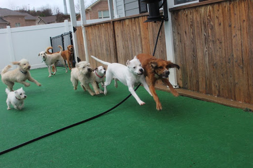 Barkfield Animal Hospital image