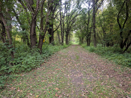 Park «Cambridge City Park», reviews and photos