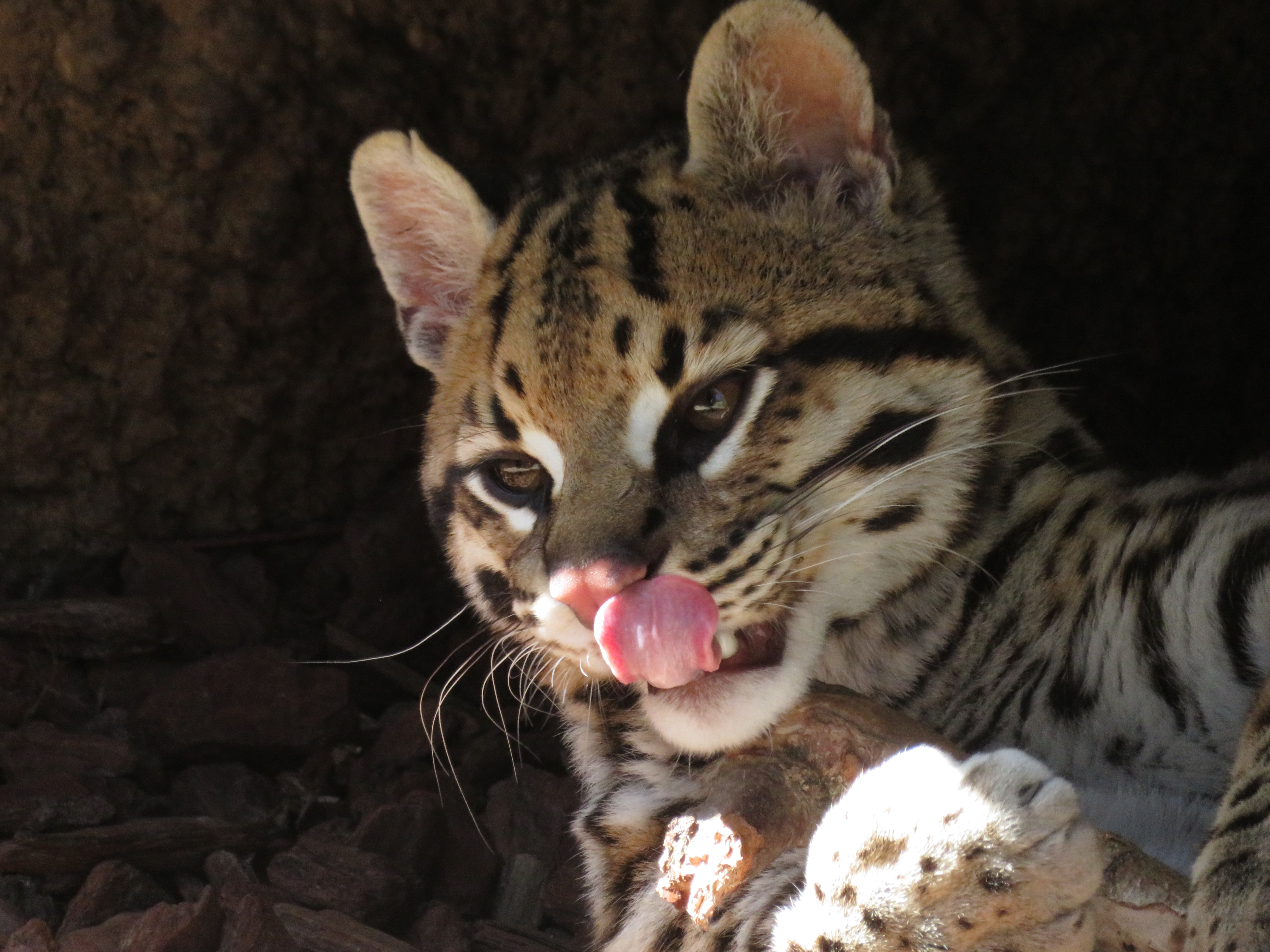 Photo n° 1 de l'avis de Pascal.E fait le 09/04/2023 à 04:13