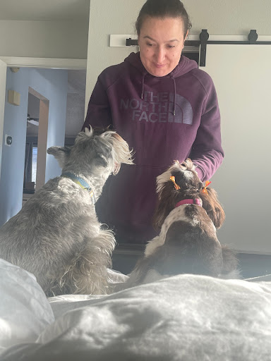 VCA Kickingbird Animal Hospital image