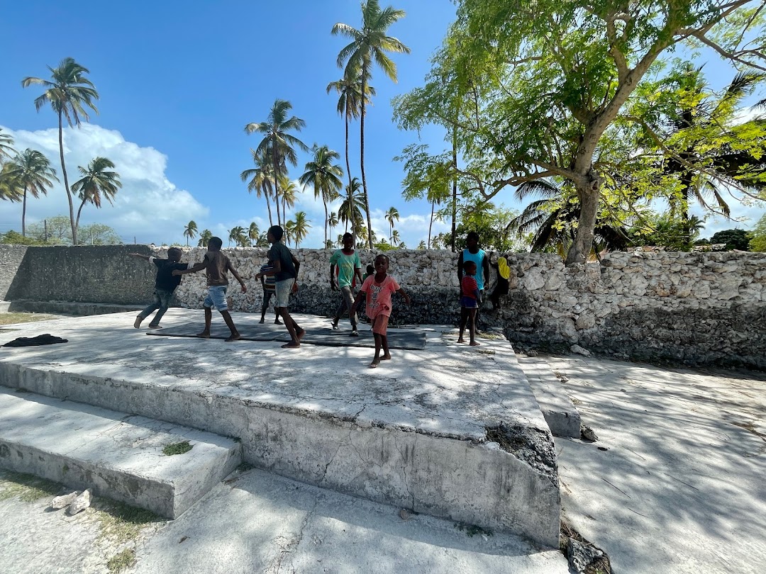 Move Zanzibar Community Centre (Acrobatics, after school activities and learning, NGO)