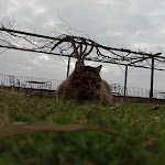 Photo n°2 de l'avis de Gianluca.a fait le 21/02/2020 à 11:30 sur le  Ripa Relais à Ripa