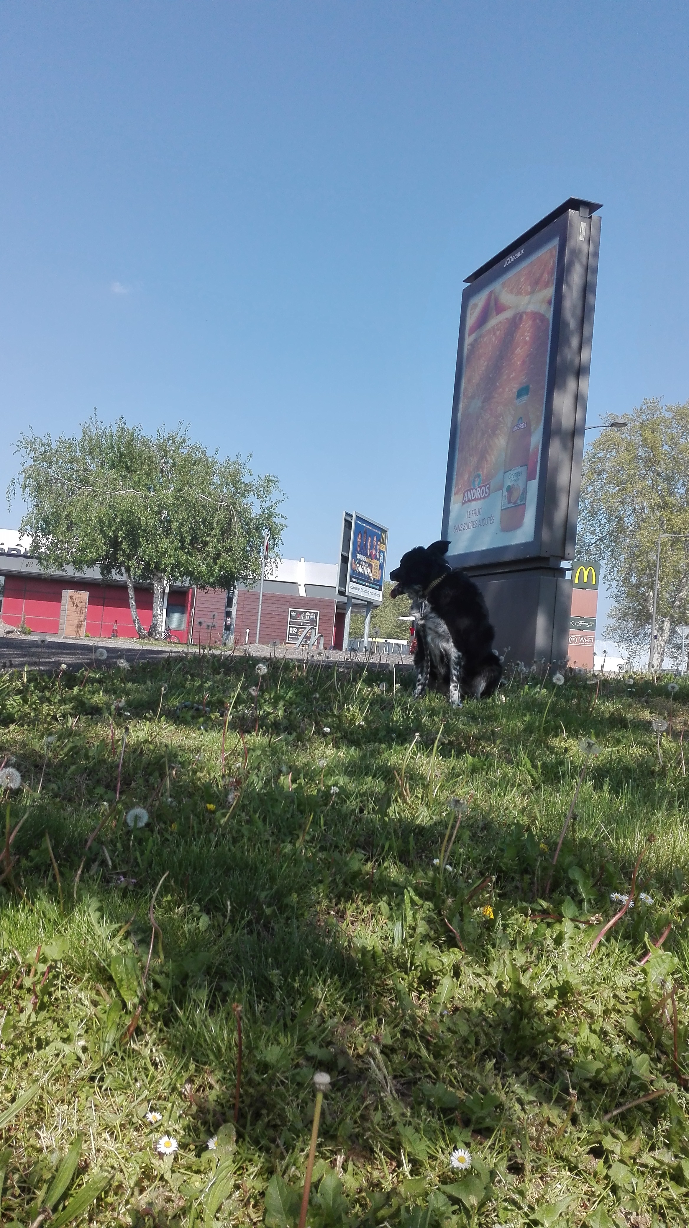 Photo n° 1 de l'avis de Pascal.e fait le 08/05/2019 à 10:11