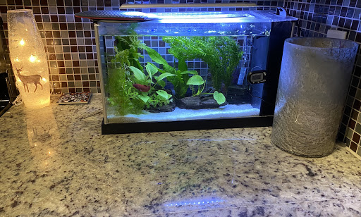 Pet Supply Store «Exotic Aquatic», reviews and photos, 275 E Oakland Park Blvd, Fort Lauderdale, FL 33334, USA