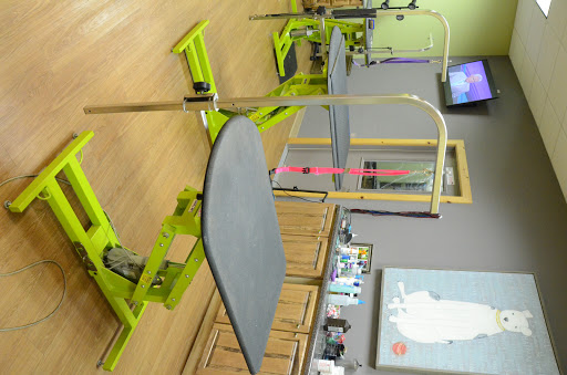 Pet Supply Store «Healthi Paws», reviews and photos, 2912 Calumet Ave, Valparaiso, IN 46383, USA