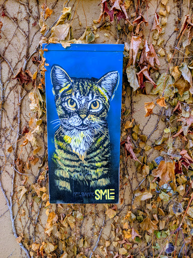 Radio Broadcaster «eTown Hall», reviews and photos, 1535 Spruce St, Boulder, CO 80302, USA