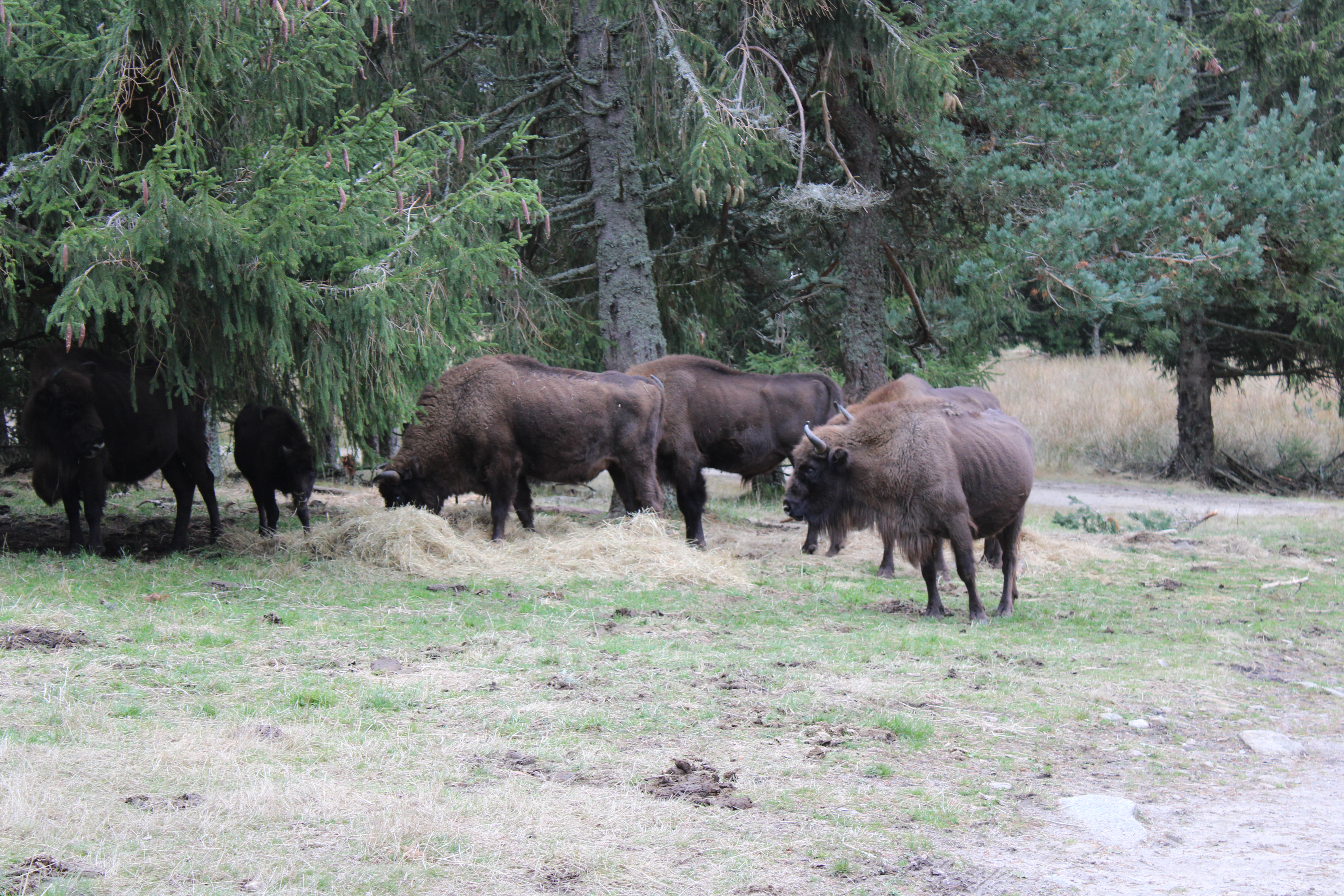 Photo n° 5 de l'avis de Brandon.i fait le 20/10/2020 à 16:26