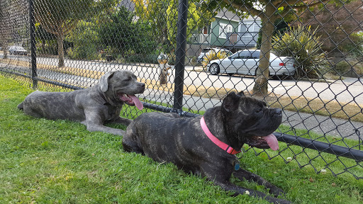 Community Center «Loyal Heights Community Center», reviews and photos, 2101 NW 77th St, Seattle, WA 98117, USA