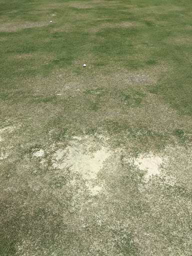 Golf Club «River Plantation Country Club», reviews and photos, 550 Country Club Dr, Conroe, TX 77302, USA