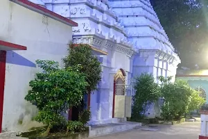 Haraparbati Temple image