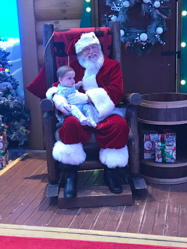 Bicycle Store «Ride N Roll Cyclery», reviews and photos, 6572 Seminole Blvd, Seminole, FL 33772, USA