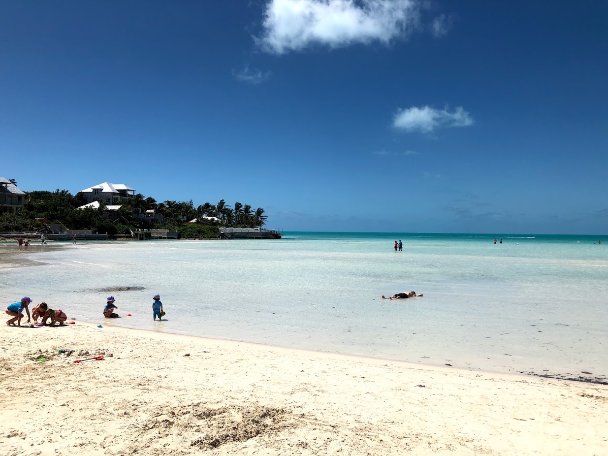 Fotografija Taylor Bay beach z visok stopnjo čistoče