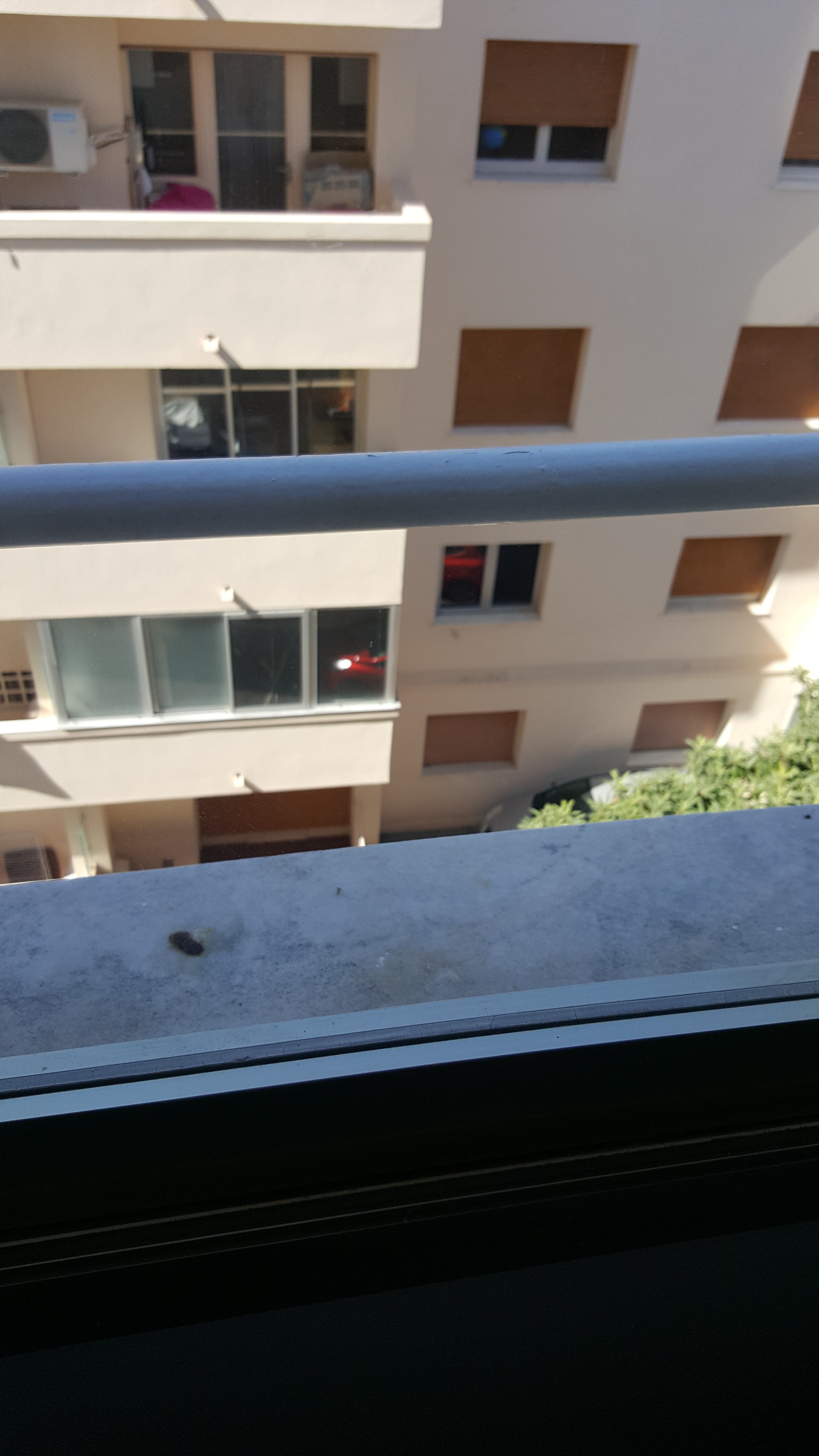 Photo n° 27 de l'avis de Raffles.u fait le 14/08/2017 à 14:06