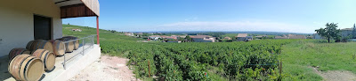 Domaine Mee Godard degustations sur rdv à Villié-Morgon