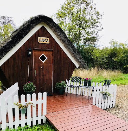 Kommentarer og anmeldelser af libra akupunktur