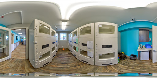 Kennel «Pampered Pets», reviews and photos, 601 Concord Ave, Charlottesville, VA 22903, USA