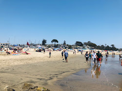 Twin Lakes Beach'in fotoğrafı - rahatlamayı sevenler arasında popüler bir yer